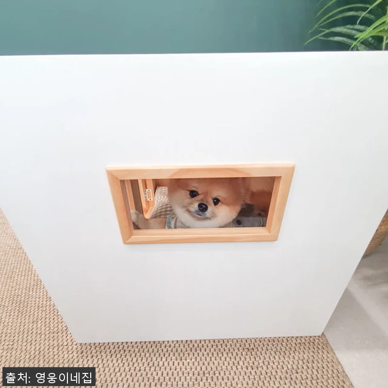 영웅이네 원목 강아지하우스 대리석 쿨 관련 이미지 8
