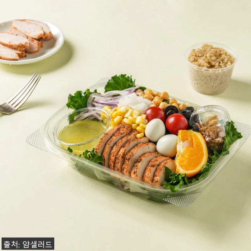 얌샐러드 샐러드 정기배송 4주식단 사 관련 이미지 8