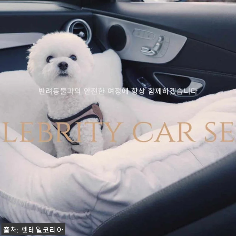 펫테일 셀러브리티 은나노 강아지 카시 관련 이미지 10