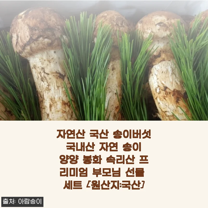 자연산 국산 송이버섯 사용후기 - 명절 선물로도 딱 좋은 프리미엄 송이 세트