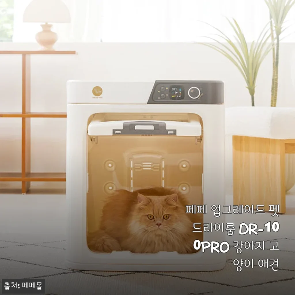 페페 업그레이드 펫드라이룸 DR-100PRO 사용후기, 반려동물 케어의 새로운 기준