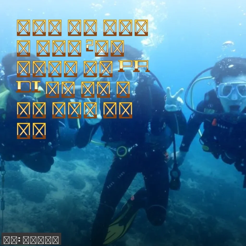 세부 PADI 오픈 워터 스쿠버 다이빙 인증 코스 2일간 체험기