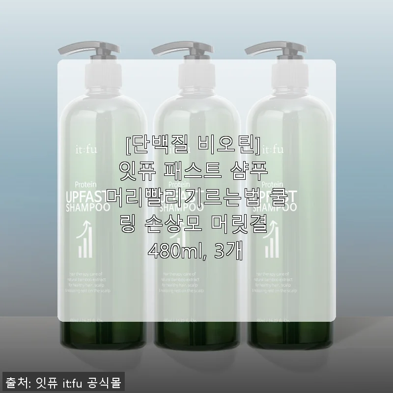 잇퓨 패스트 샴푸 3개 세트 사용후기 - 단백질과 비오틴으로 머릿결과 모발 건강을 챙기다