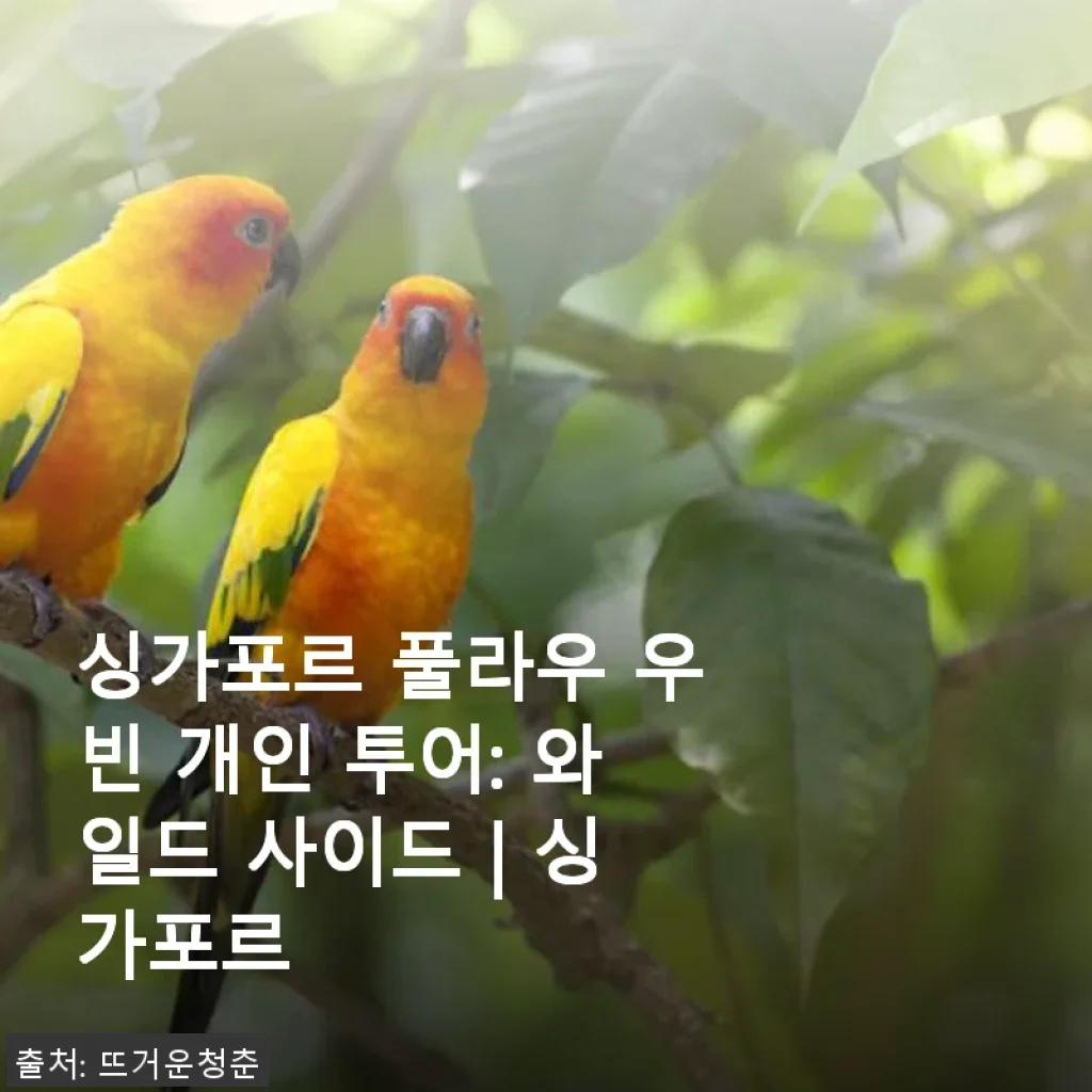 싱가포르 풀라우 우빈 개인 투어: 와일드 사이드 사용 후기와 할인 정보