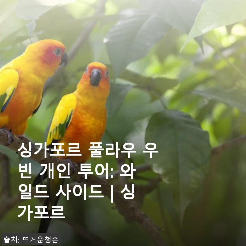 싱가포르 풀라우 우빈 개인 투어: 와일드 사이드 사용 후기와 할인 정보