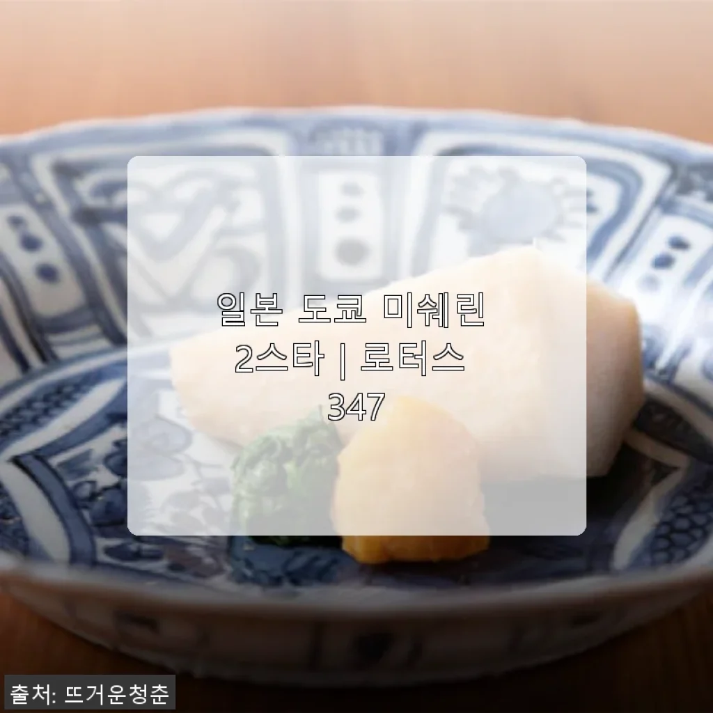 일본 도쿄 미쉐린 2스타 '로터스 347' 직접 사용 후기와 구매 팁