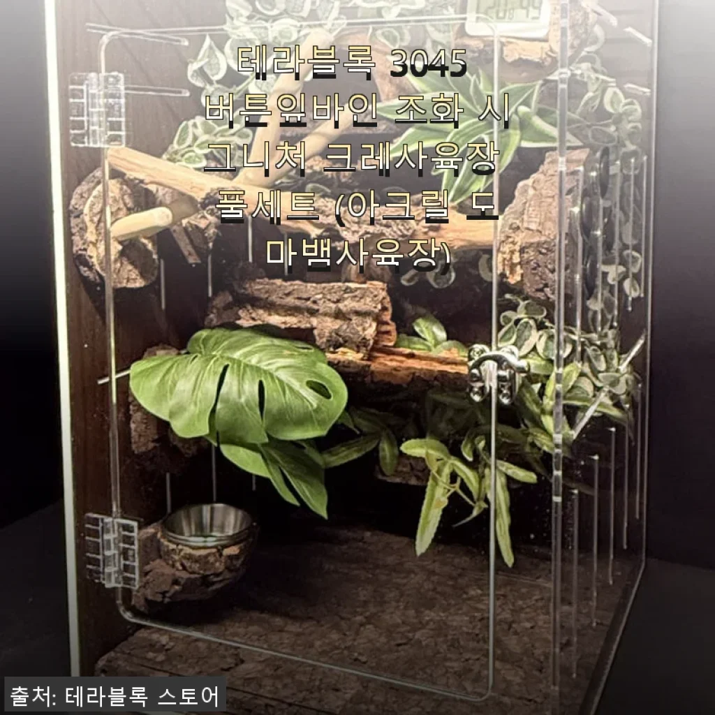 테라블록 3045 버튼잎바인 조화 시그니처 크레사육장 풀세트 사용 후기