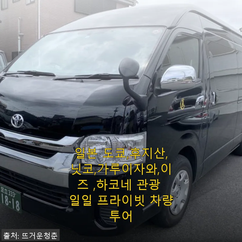 일본 도쿄, 후지산, 닛코, 가루이자와, 이즈, 하코네 일일 프라이빗 차량투어 사용후기