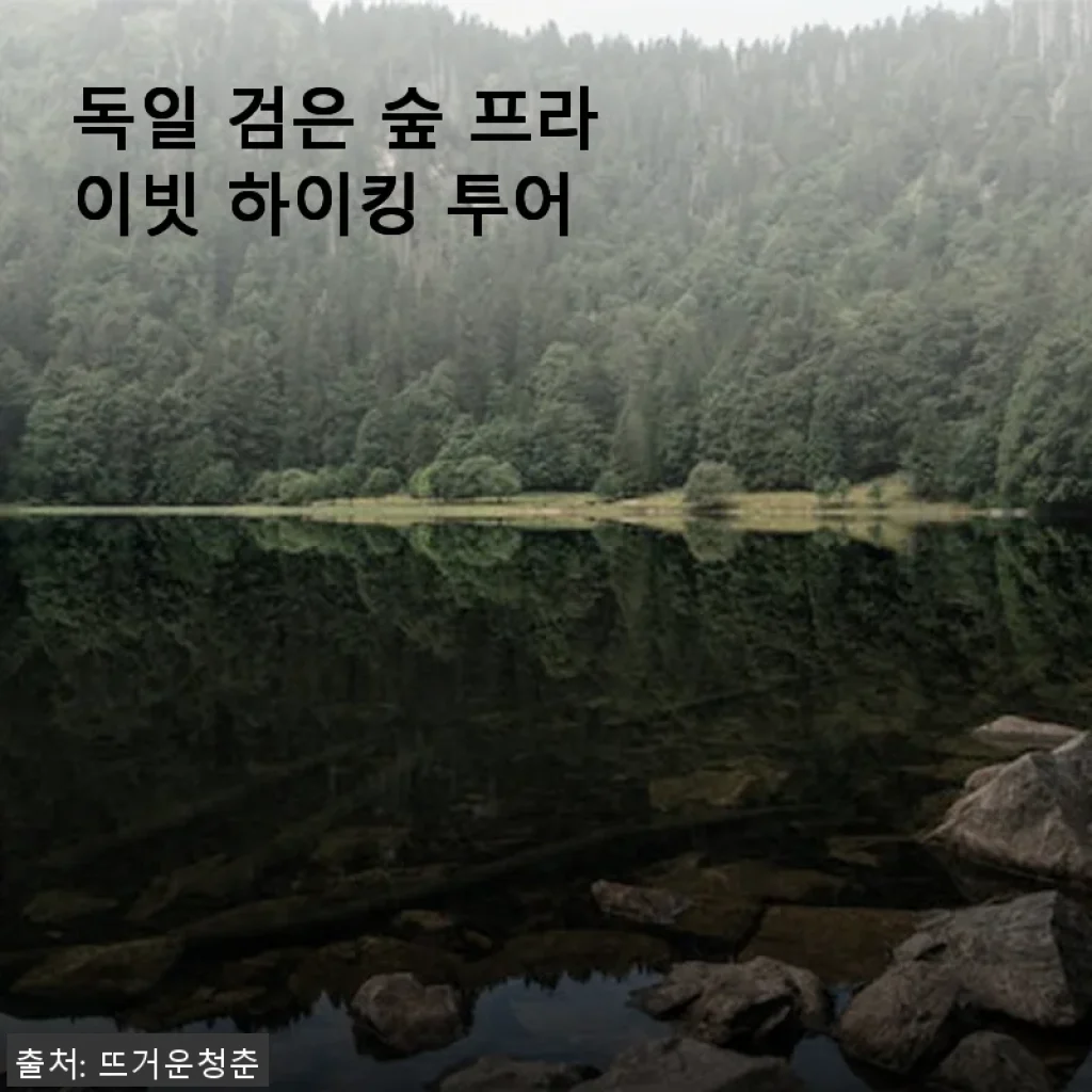 독일 검은 숲 프라이빗 하이킹 투어 사용후기