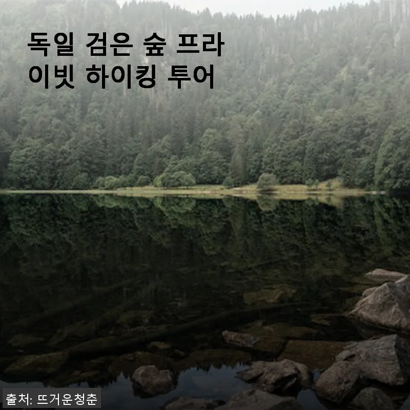 독일 검은 숲 프라이빗 하이킹 투어 사용후기