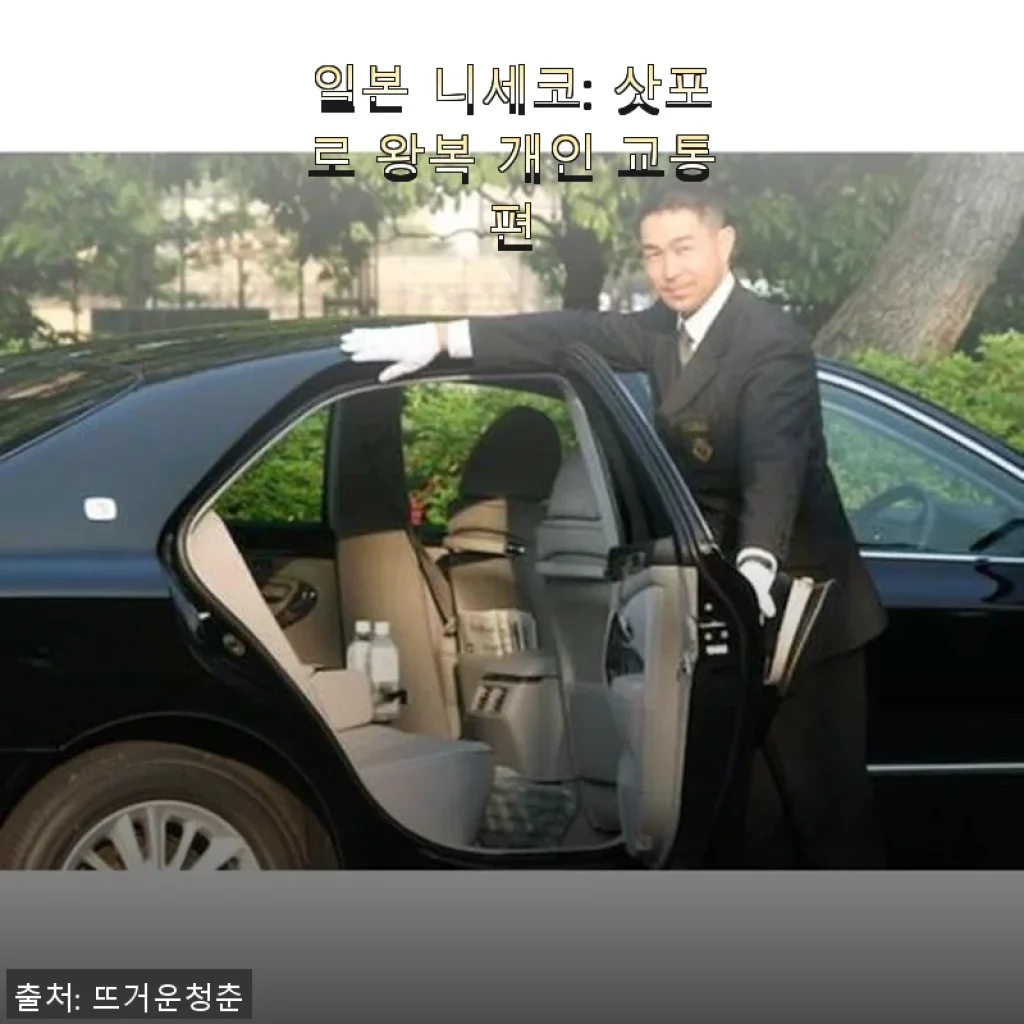 일본 니세코 삿포로 왕복 개인 교통편 사용후기