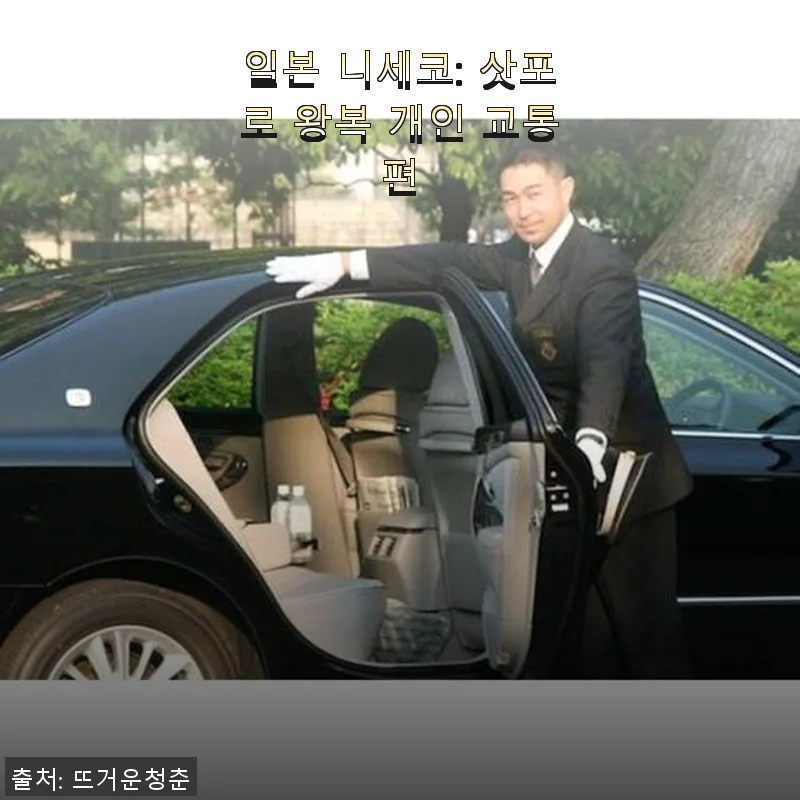 일본 니세코 삿포로 왕복 개인 교통편 사용후기