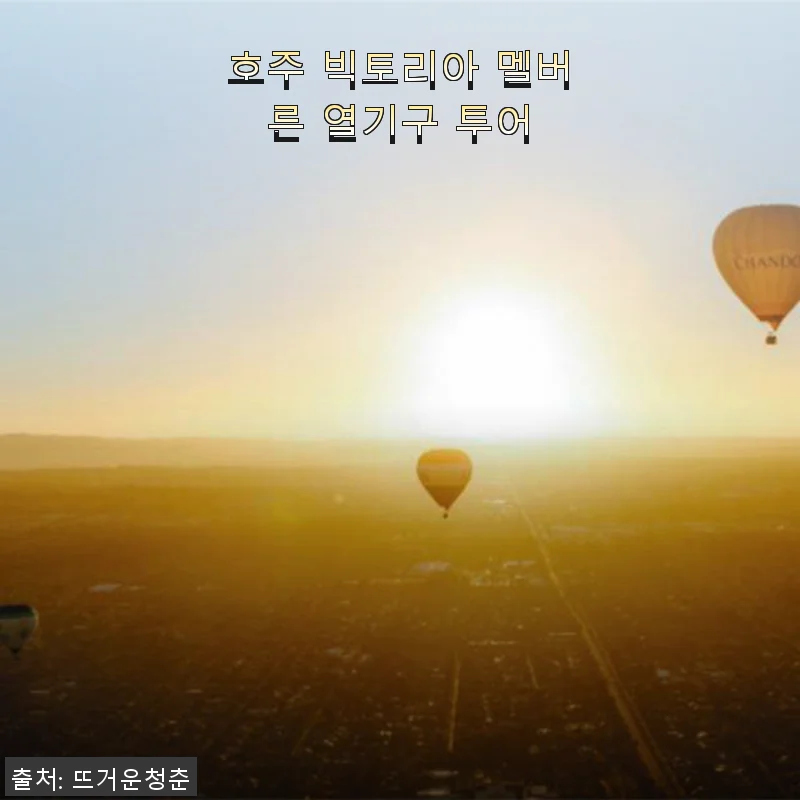 호주 빅토리아 멜버른 열기구 투어, 직접 체험한 생생한 후기