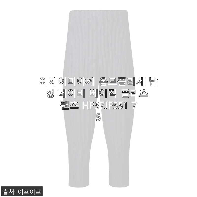 이세이미야케 옴므플리세 남성 네이비 베이직 플리츠 팬츠 HP57JF551 75 사용후기