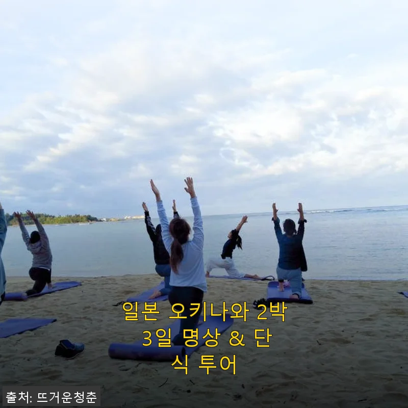 일본 오키나와 2박 3일 명상 & 단식 투어 사용후기