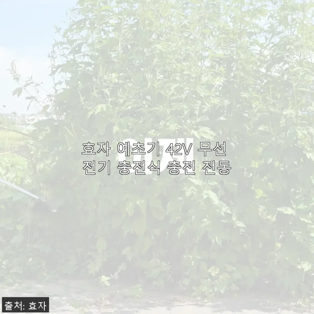 효자 예초기 42V 무선 전기 충전식 사용 후기: 간편함과 강력한 힘을 동시에 경험하다
