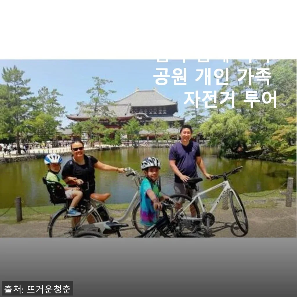 일본 나라 : 점심과 함께 나라 공원 개인 가족 자전거 투어 사용후기