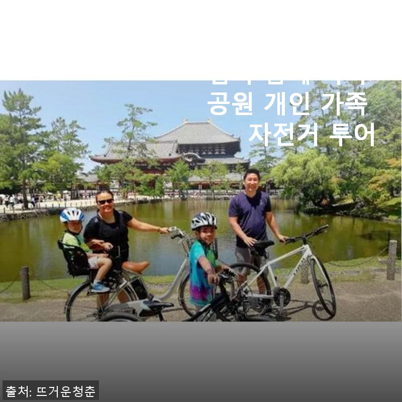 일본 나라 : 점심과 함께 나라 공원 개인 가족 자전거 투어 사용후기
