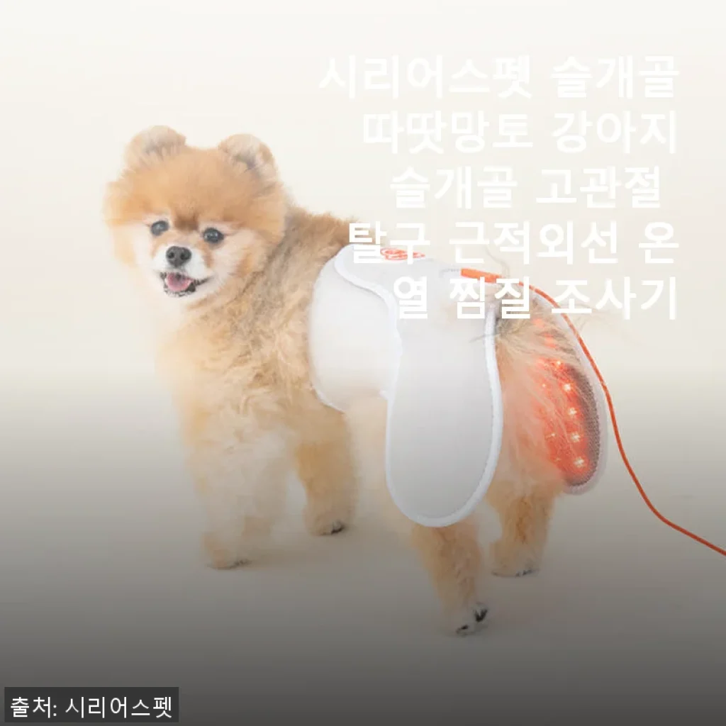 시리어스펫 슬개골 따땃망토 사용후기: 아침이 달라진 우리 강아지의 온열 케어