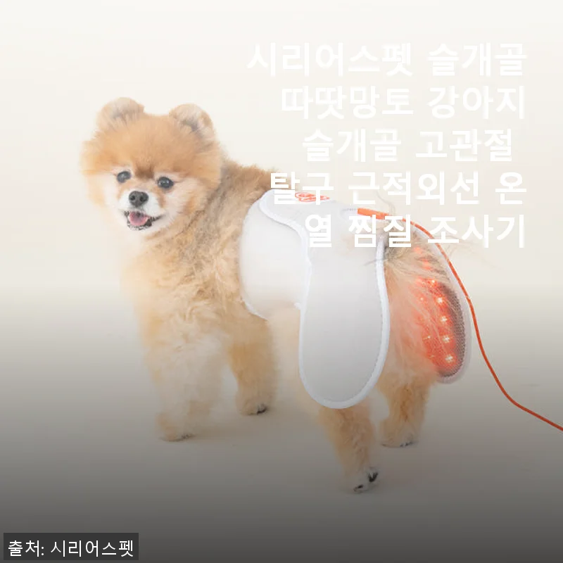 시리어스펫 슬개골 따땃망토 사용후기: 아침이 달라진 우리 강아지의 온열 케어