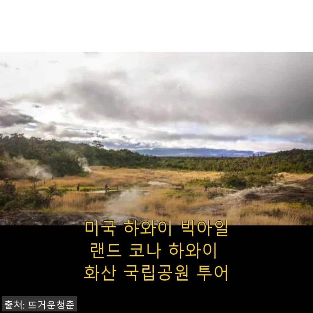 미국 하와이 빅아일랜드 코나 하와이 화산 국립공원 투어 사용후기