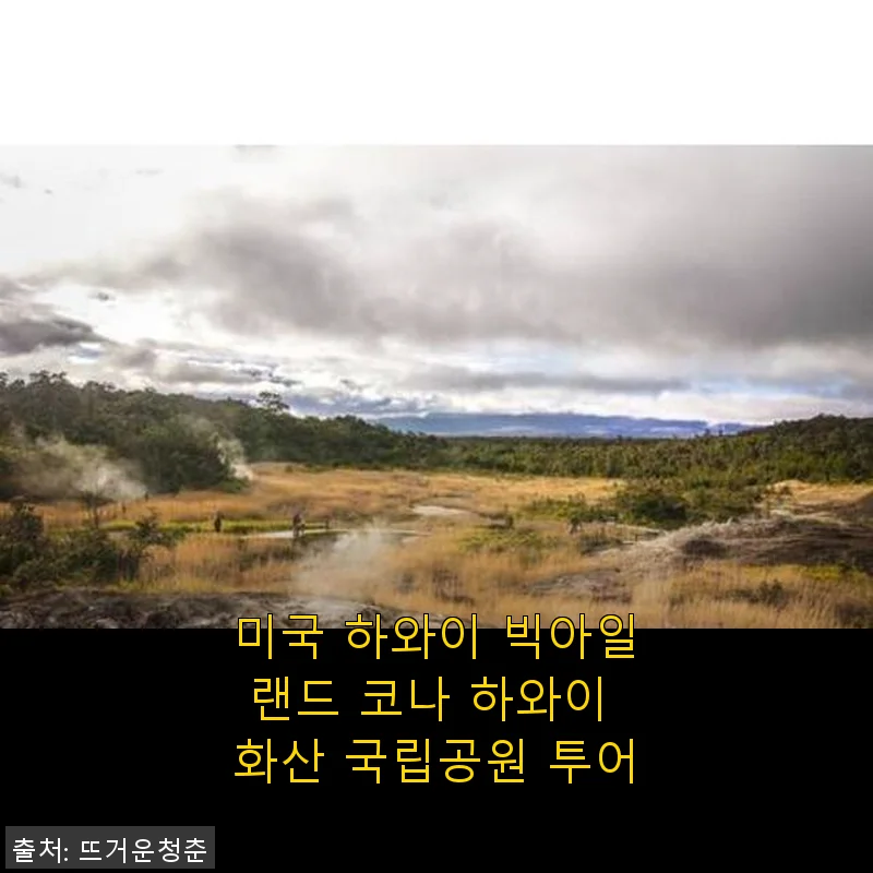 미국 하와이 빅아일랜드 코나 하와이 화산 국립공원 투어 사용후기