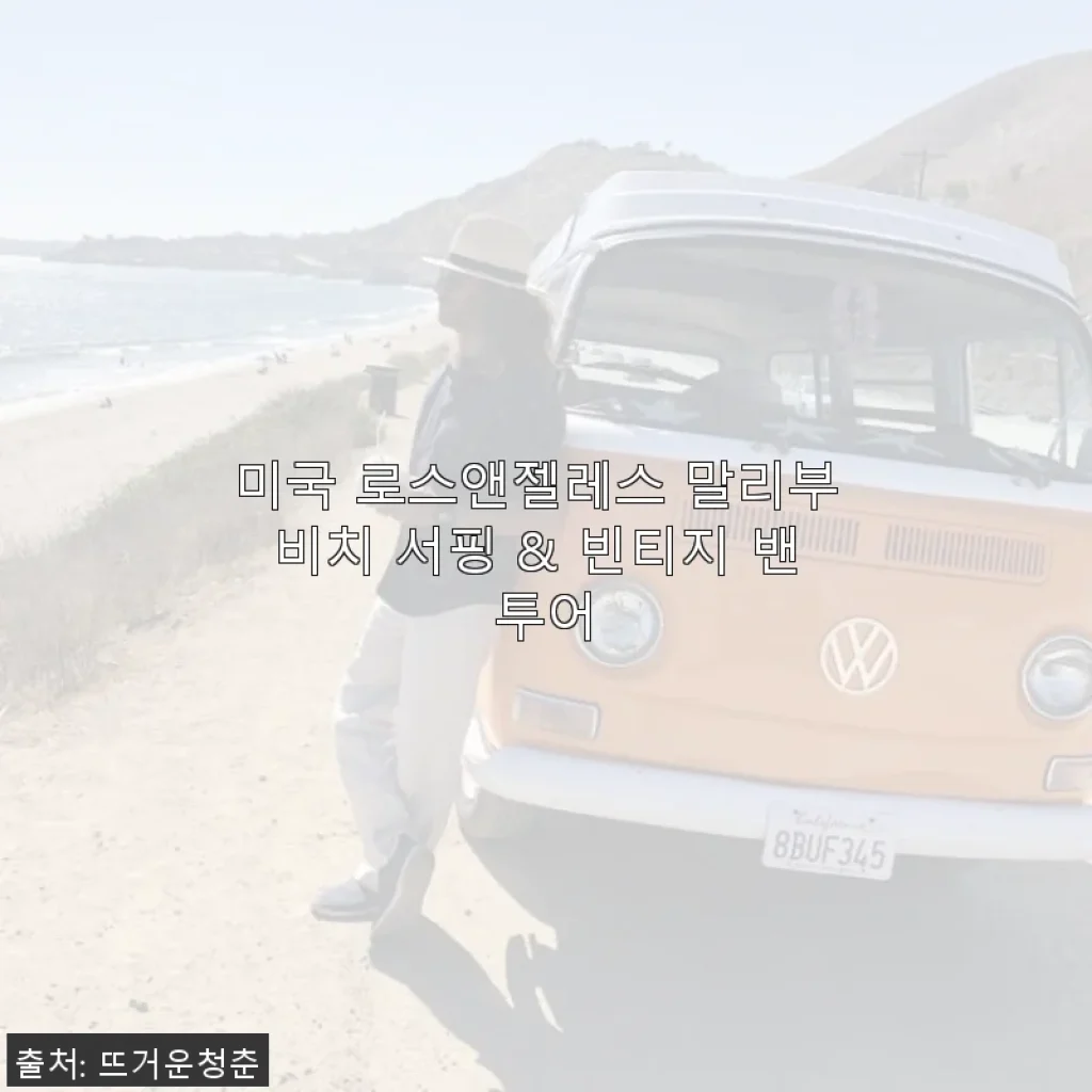 미국 로스앤젤레스 말리부 비치 서핑 & 빈티지 밴 투어 사용 후기