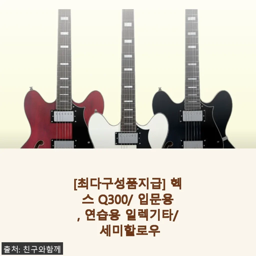 헥스 Q300 세미할로우 일렉기타 사용후기: 입문용으로 완벽한 선택