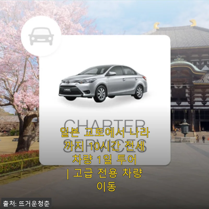 일본 교토에서 나라까지 10시간 전세 차량 1일 투어 사용후기