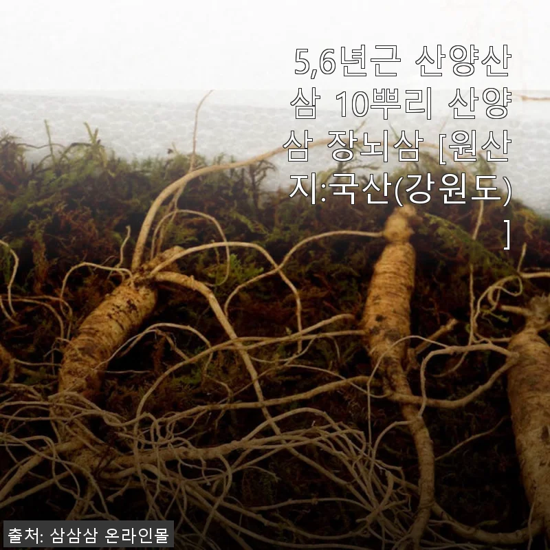 5,6년근 산양산삼 10뿌리 사용후기 및 상세 소개