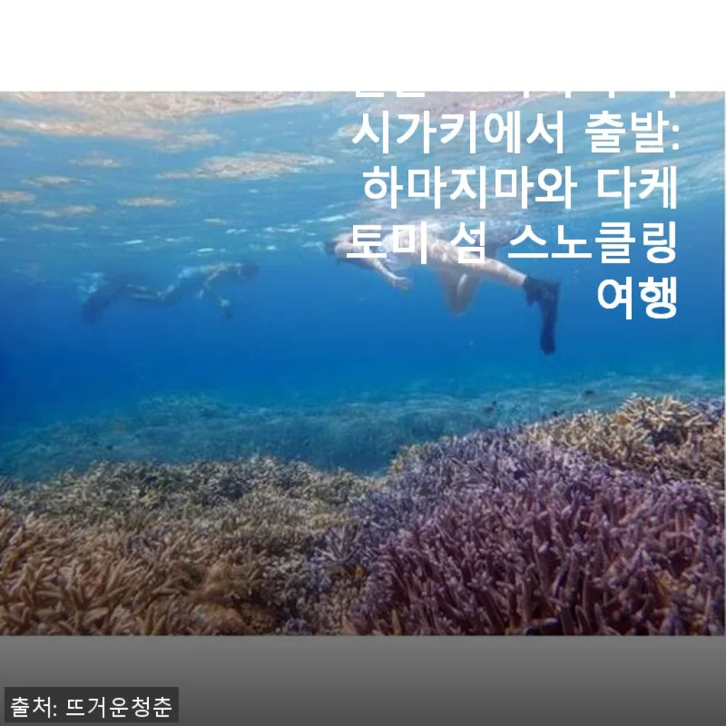 일본 오키나와 이시가키 출발 하마지마와 다케토미 섬 스노클링 여행 후기