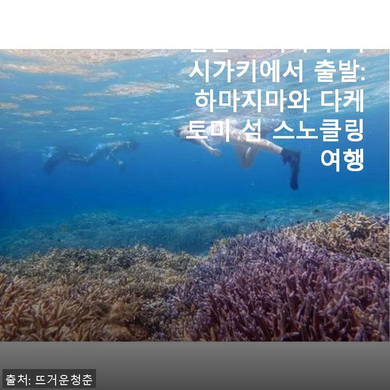 일본 오키나와 이시가키 출발 하마지마와 다케토미 섬 스노클링 여행 후기