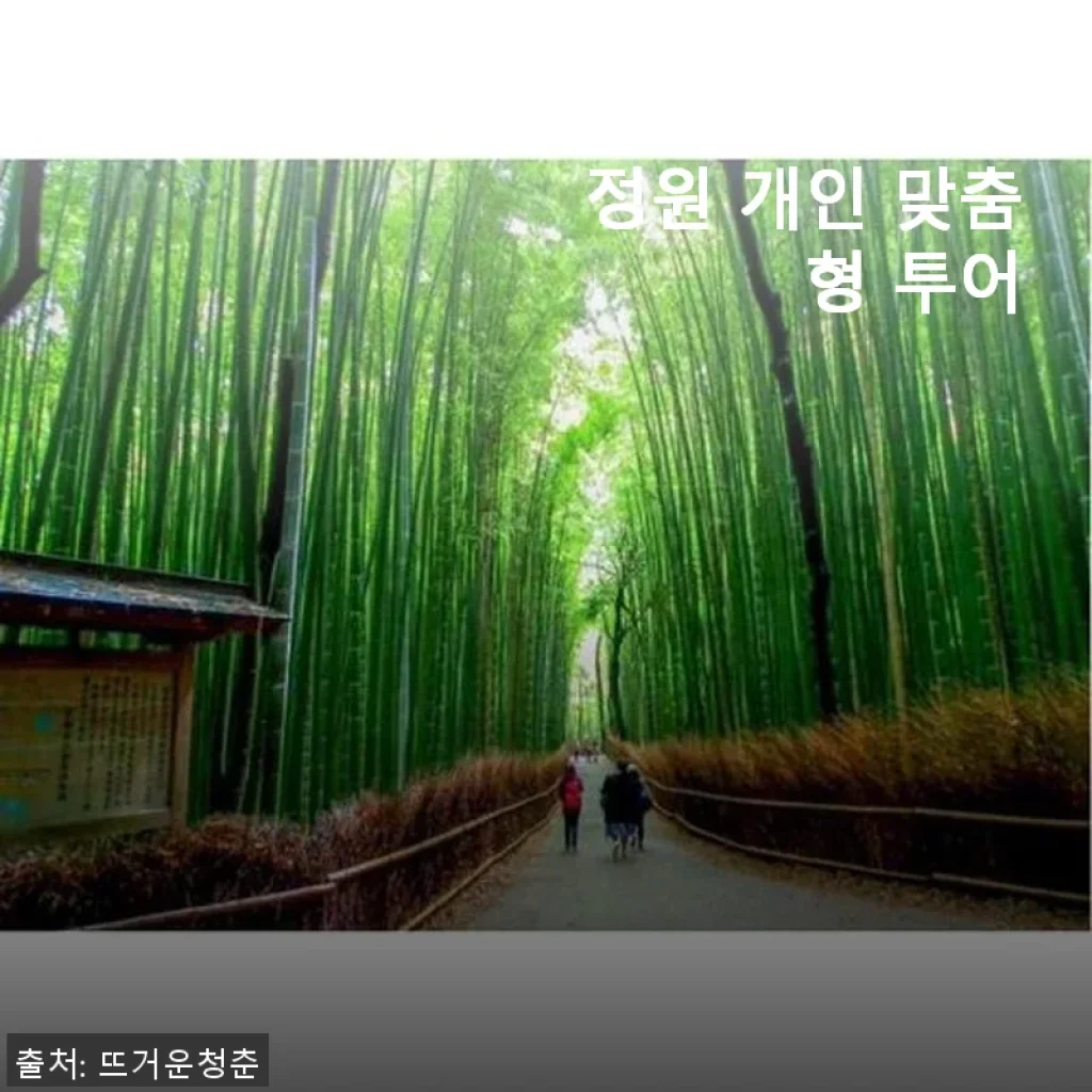 일본 교토: 일본 정원 개인 맞춤형 투어 사용후기