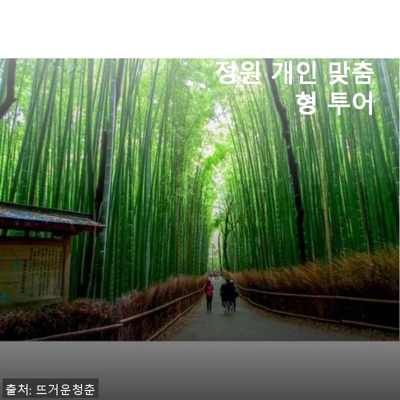 일본 교토: 일본 정원 개인 맞춤형 투어 사용후기