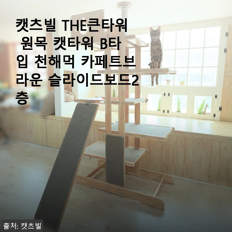 캣츠빌 THE큰타워 원목 캣타워 B타입 사용후기: 대형묘와 다묘가족 모두 만족한 선택