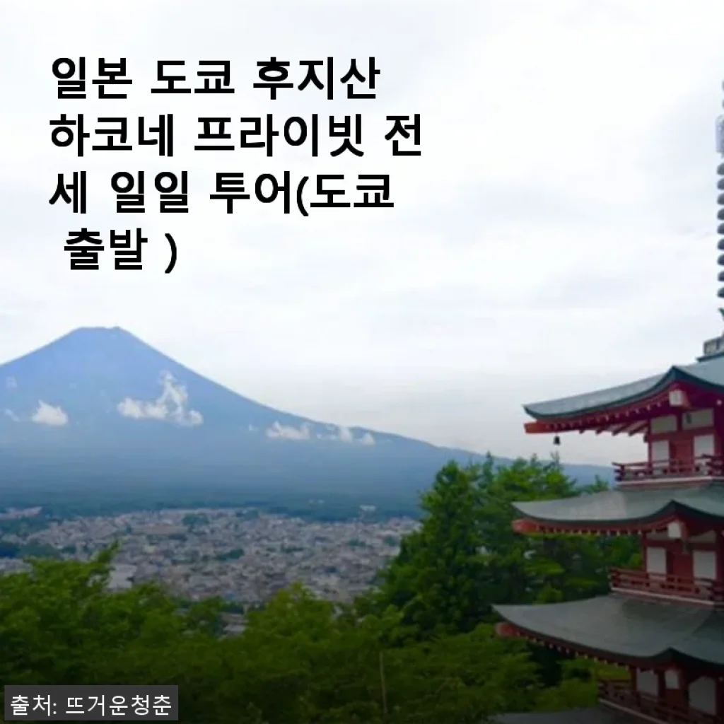 일본 도쿄 후지산 하코네 프라이빗 전세 일일 투어 사용후기