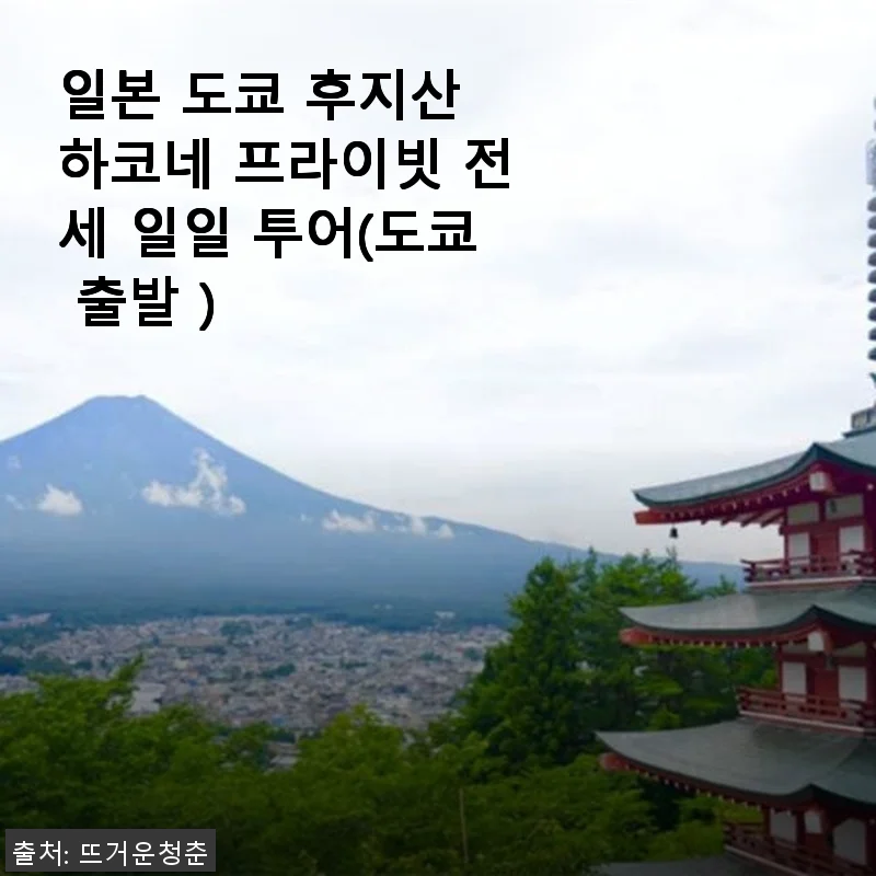 일본 도쿄 후지산 하코네 프라이빗 전세 일일 투어 사용후기