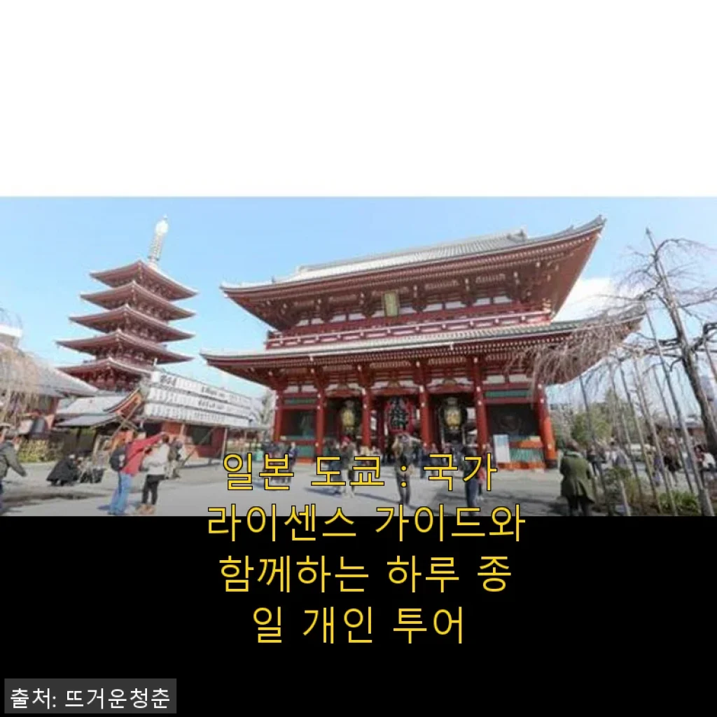 일본 도쿄 국가 라이센스 가이드와 함께하는 하루 종일 개인 투어 후기