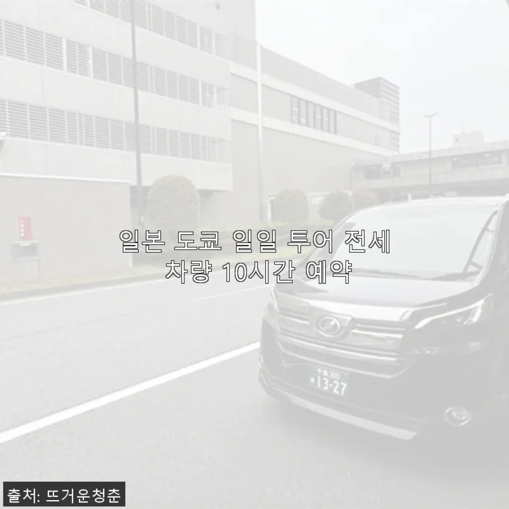 일본 도쿄 일일 투어 전세 차량 10시간 예약, 직접 체험한 만족 후기