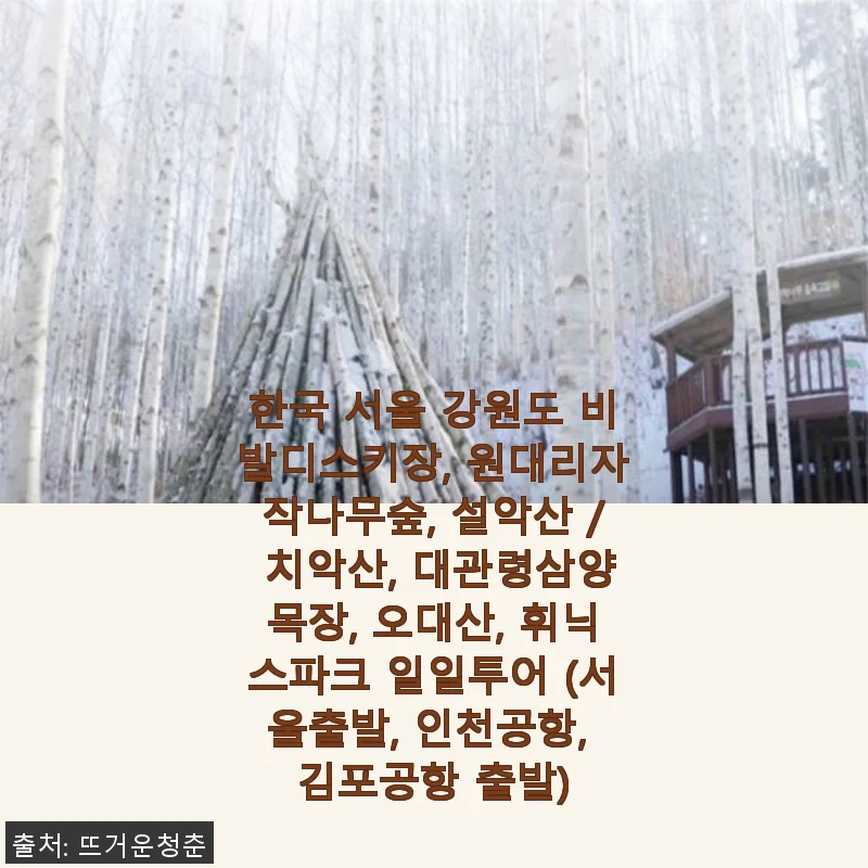 서울 출발 강원도 일일투어 사용후기 – 비발디스키장부터 설악산까지 알찬 하루