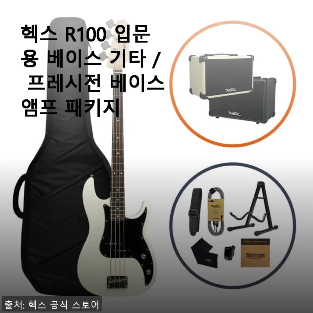헥스 R100 입문용 베이스 기타 & 프레시전 베이스 앰프 패키지 사용 후기