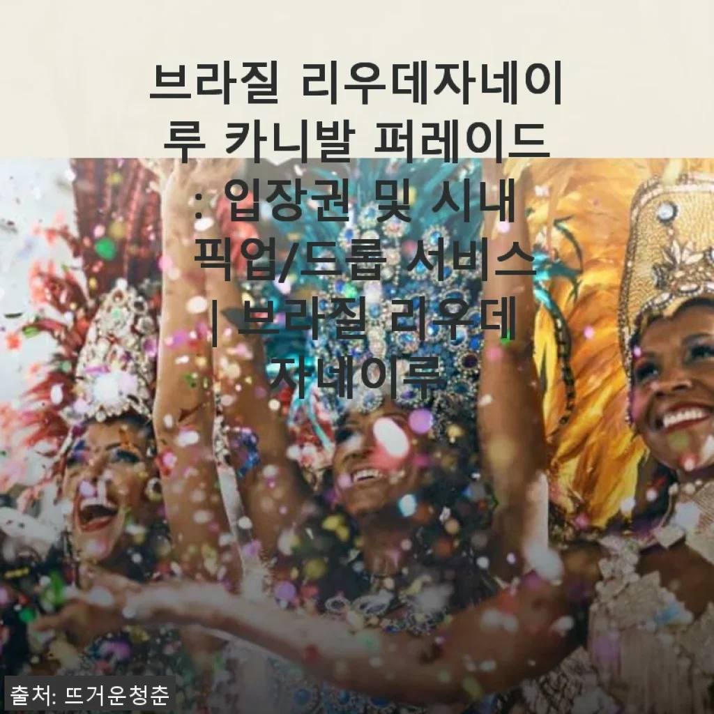 브라질 리우데자네이루 카니발 퍼레이드 입장권 및 시내 픽업/드롭 서비스 사용 후기