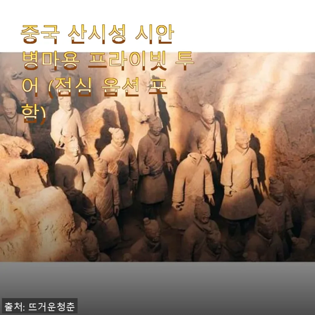 중국 산시성 시안 병마용 프라이빗 투어 사용후기