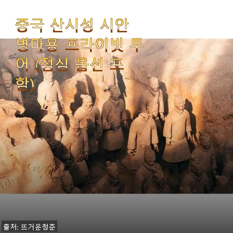 중국 산시성 시안 병마용 프라이빗 투어 사용후기