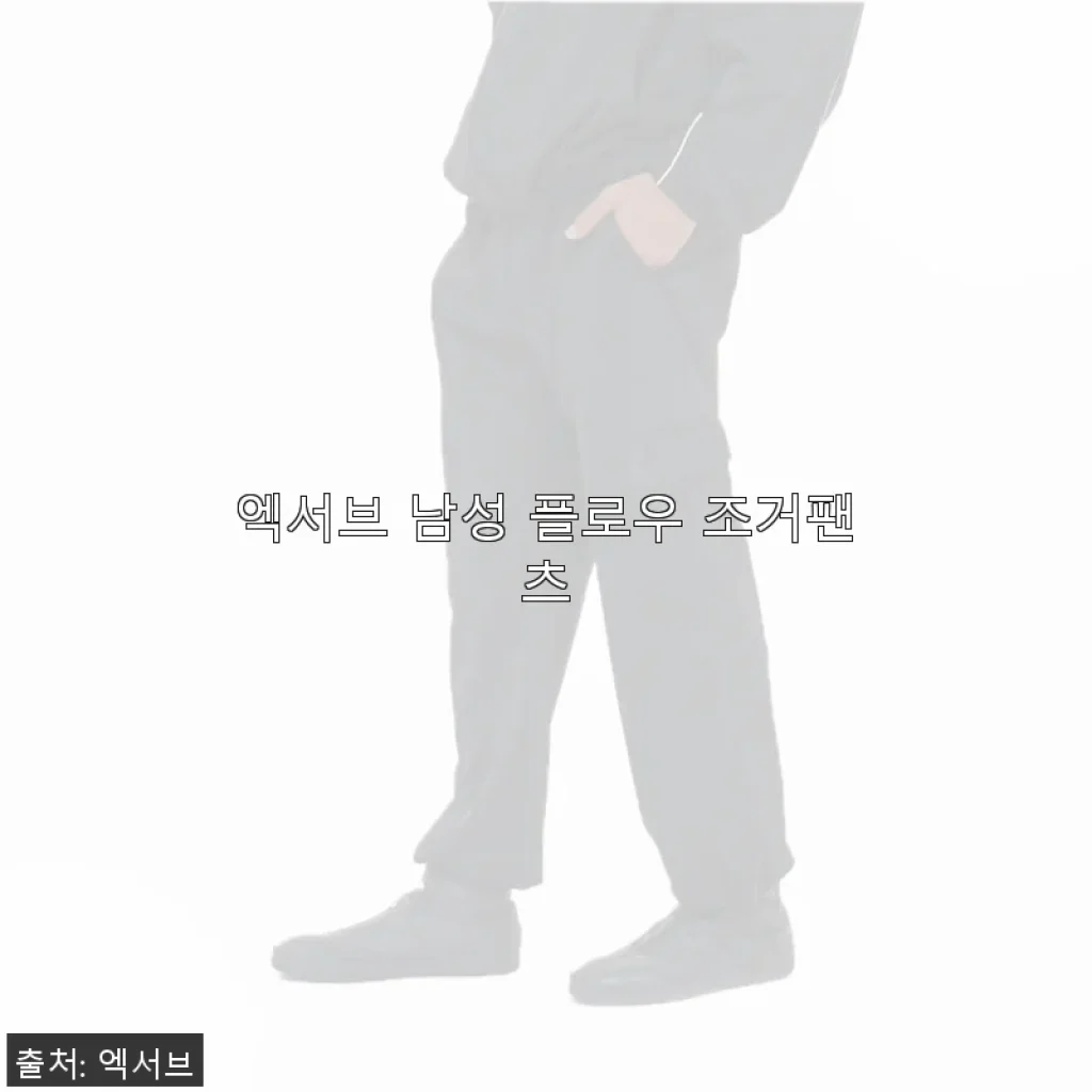 엑서브 남성 플로우 조거팬츠 사용후기: 편안함과 스타일을 동시에