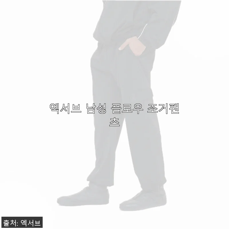 엑서브 남성 플로우 조거팬츠 사용후기: 편안함과 스타일을 동시에