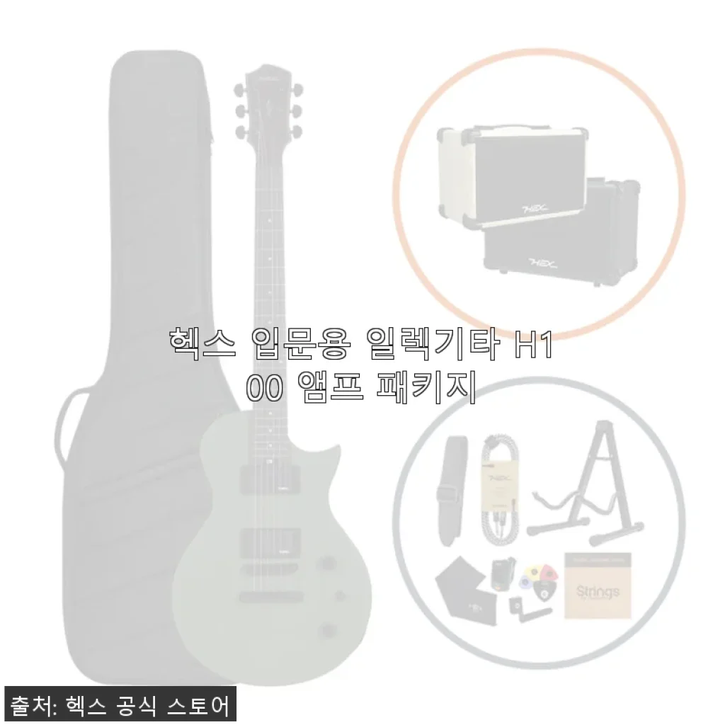 헥스 입문용 일렉기타 H100 앰프 패키지 사용후기