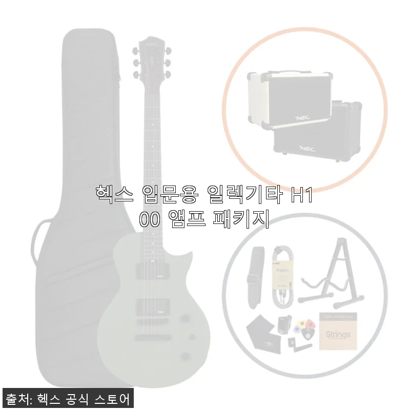 헥스 입문용 일렉기타 H100 앰프 패키지 사용후기