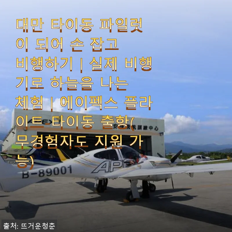 대만 타이동 에이펙스 플라이트 체험기: 하늘 위에서 느낀 특별한 순간
