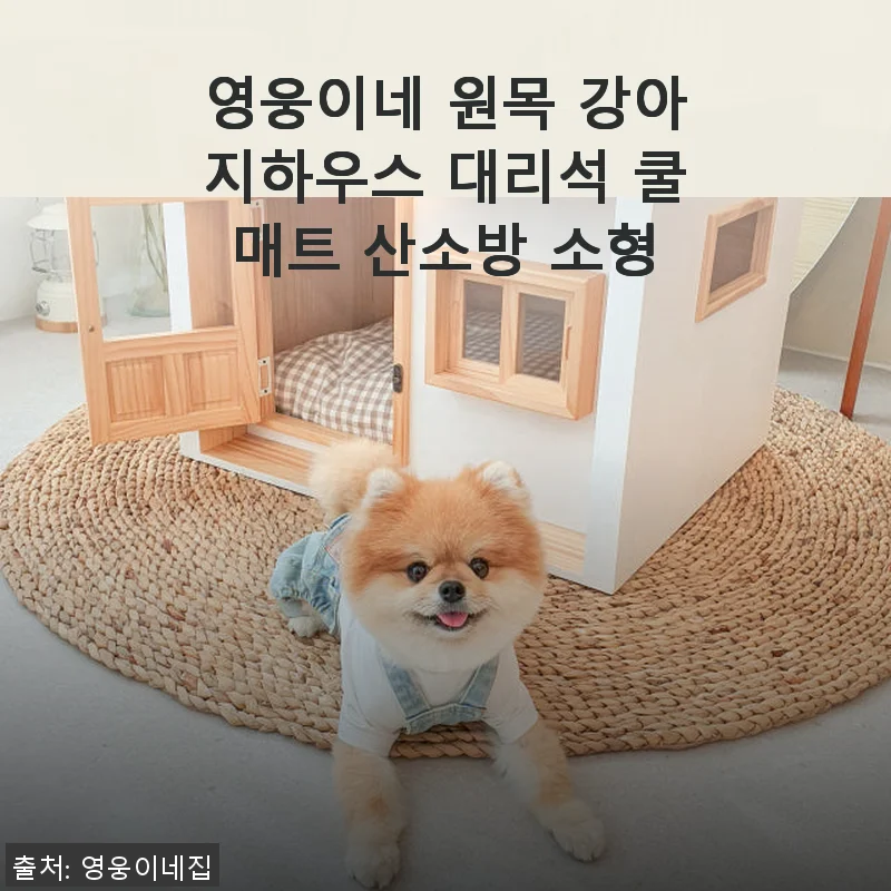 영웅이네 원목 강아지하우스 대리석 쿨매트 산소방 소형, 직접 써본 솔직한 후기